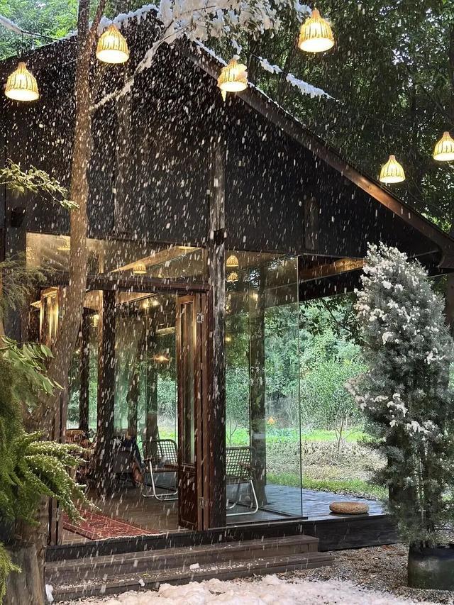 是真嘞见不得太阳不朽情缘成都人(图7)